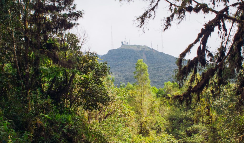 Visita a esponja hídrica "El Asomadero"