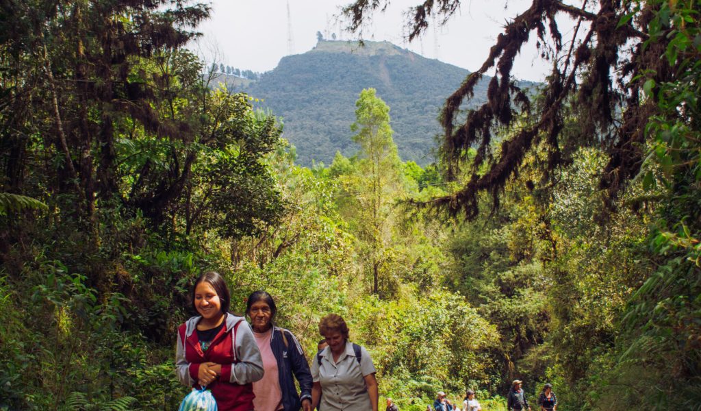Visita a esponja hídrica "El Asomadero"