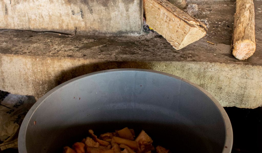 Encuentro festival de la cordillera