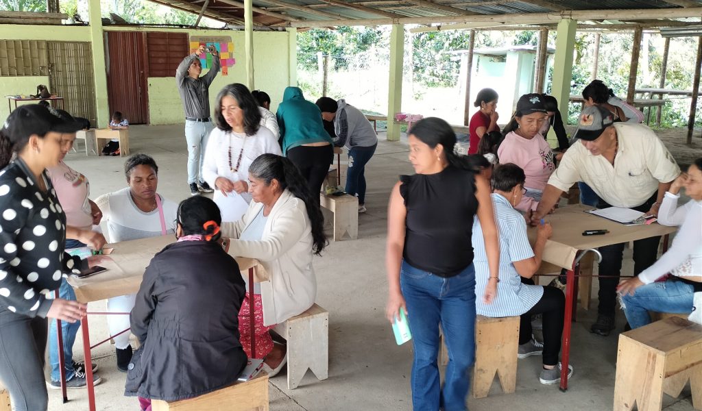 Cartografía social Palmichal