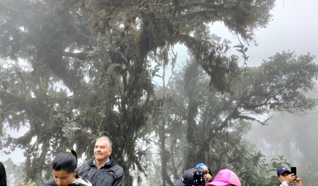 Visita a esponja hídrica "El Asomadero"