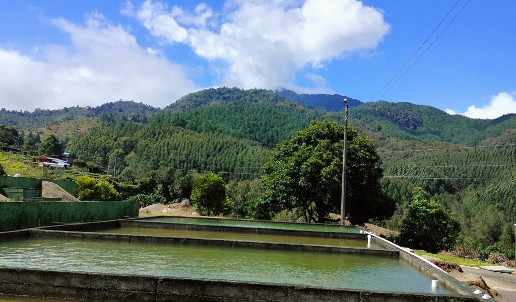 Acueducto municipal de El Tambo