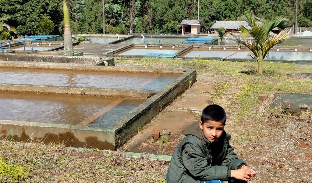 Acueducto municipal de El Tambo