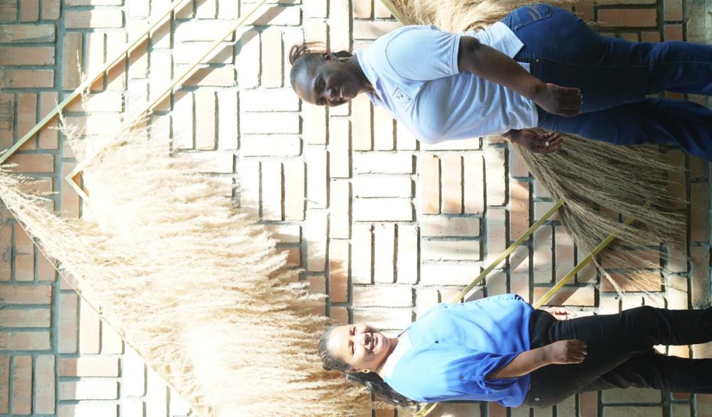 Revisión teoría de cambio ciclo 2